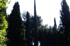 menton  gr52 rando castellar ste agnes (62)